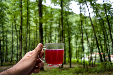 A cup of cherry tea down in forest.
