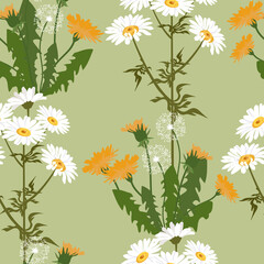Seamless vector beautiful, summer illustration with chamomile and dandelion