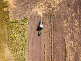 Fototapeta premium Aerial drone view. The tractor collects potatoes in a potato field.
