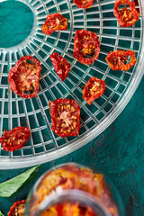 Homemade sun dried tomatoes with herbs, on the sieve from dryer.