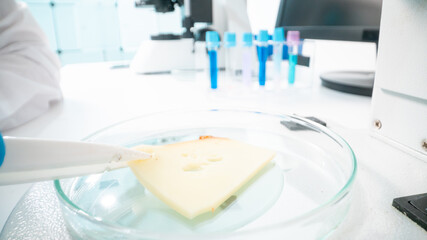 Cheese quality inspection in a quality control laboratory