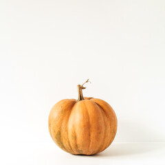 Raw orange ginger pumpkin on white background