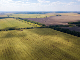 Fototapeta na wymiar Aerial drone view. Agricultural fields in Ukraine.