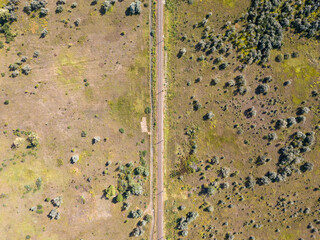 Aerial drone view. Railroad through a meadow with rare bushes.