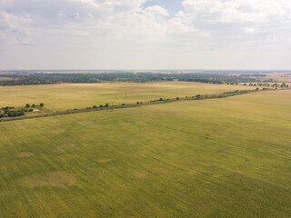 Naklejka premium Aerial drone view. Autumn agricultural fields in Ukraine.