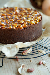 Cheesecake. Soft cottage cheese cake with nuts. High quality photo.