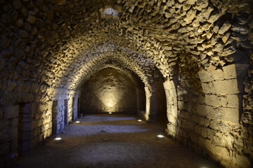 Obraz premium A historic building with lighting, I encourageto visit