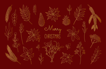 Set of Christmas, New Year plants, poinsettia, pine, mistletoe, holly berry, laurel in gold colors. Hand drawn floral collection. Vector illustration in doodle style isolated on red background. 