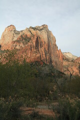 アメリカの早春のザイオンナショナルパーク