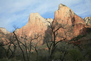 アメリカの早春のザイオンナショナルパーク