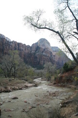 アメリカの早春のザイオンナショナルパーク