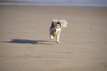 Fototapeta premium Ramsey Beach Isle Of Man
