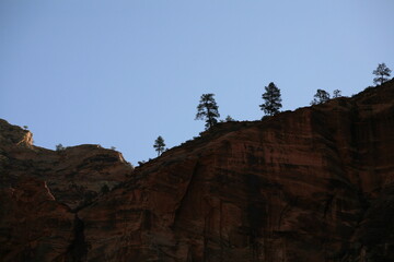 アメリカの早春のザイオンナショナルパーク