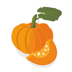 Fresh ripe orange pumpkin on a white background. Tasty sweet vegetable. Pumpkin icon. Can be used as emblem, logo, web print, sticker. Vector illustration.