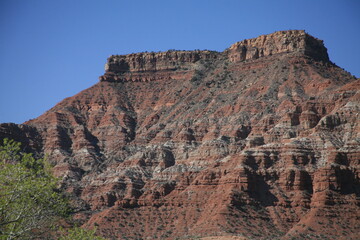 アメリカの早春のザイオンナショナルパーク