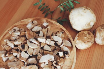 Mushroom 