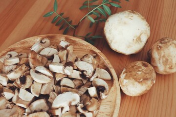 Mushroom 