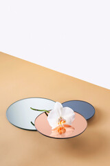 Podium, object stand on round mirrored surfaces with white orchid flower in neutral tones. Mock up for product placement. Trend background