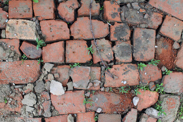 bricklaying from broken red brick with sprouted grass