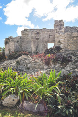 Mayan Ruins