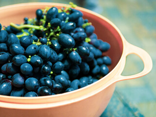 Bunches of ripe blue grapes lie in orange plastic bowl