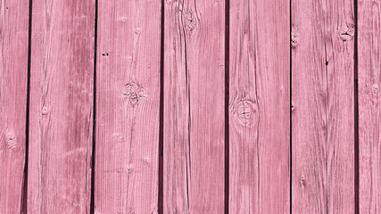 Fototapeta premium panoramic banner with the texture of an old tree. vertical boards of the house light pink color, vintage style