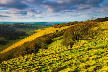 Bright sunny winter morning on the south downs escarpment of Wilmington hill near Jevington and the Cuckmere valley east sussex south east England