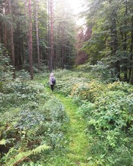 Obraz premium Girl in the woods nature green