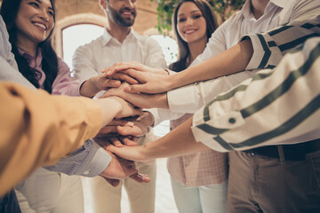 Cropped close-up view of nice confident cheerful people entrepreneurs putting palms together...