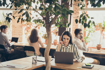 Fototapeta premium Photo of amazing pretty business lady analyzer browsing notebook spacious office working project anti crisis company strategy plan marketing management successful team indoors