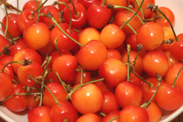 サクランボ　品種：紅さやか