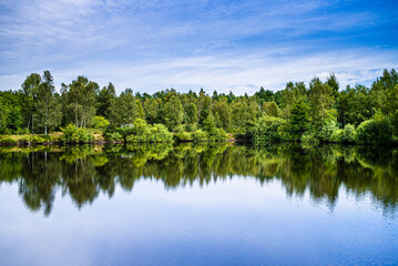 Fototapeta na wymiar Beautiful bright forest lake in summer