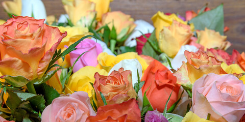 Background of beautiful flowers. Сlose up. Panorama.