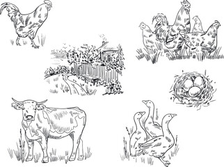 Sketch drawing of animals on a farm and a house in the village. Cow, geese, nest with eggs, rooster and chickens.