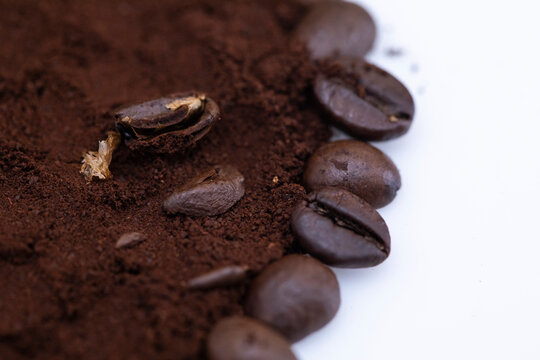 macro closeup of coffee bean © jayanthi photography