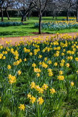 Path, Footpath, Track, Trail in the English Countryside. For walking, hiking, rambling and trekking.