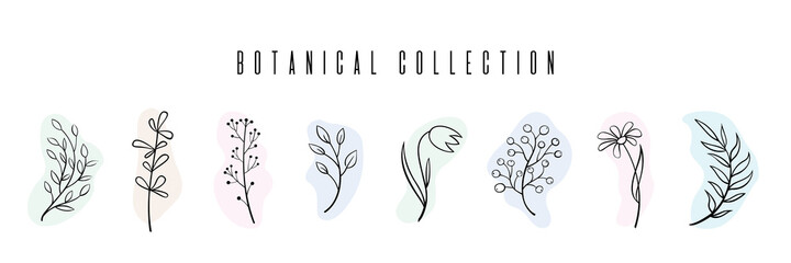 A set of images of botanical elements drawn by hand. Branches, leaves, flowers on a white background.