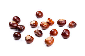 Autumn - Fresh chestnut fruits, Castanea, Horse-chestnut (Aesculus hippocastanum), close up