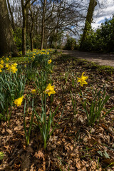 Path, Footpath, Track, Trail in the English Countryside. For walking, hiking, rambling and trekking.