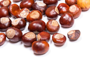 Autumn - Fresh chestnut fruits, Castanea, Horse-chestnut (Aesculus hippocastanum), close up
