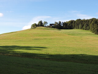 Wiese am Hang