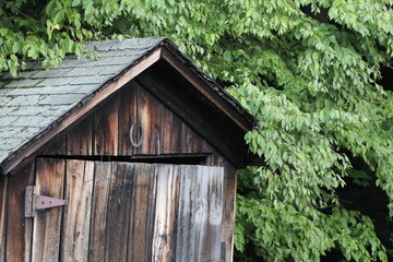 old wooden shed in forest