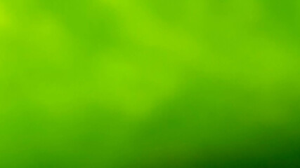 a green natural background