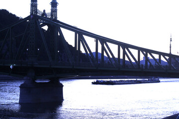 Liberty Bridge in Budapest