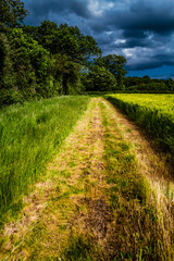 Path, Footpath, Track, Trail in the English Countryside. For walking, hiking, rambling and trekking.