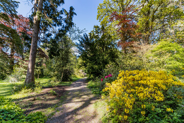 Path, Footpath, Track, Trail in the English Countryside. For walking, hiking, rambling and trekking.