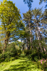 Path, Footpath, Track, Trail in the English Countryside. For walking, hiking, rambling and trekking.