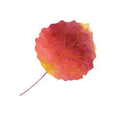 Watercolor autumn leaf isolated on white background. Beautiful bright autumn leaf.