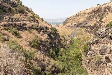 Hills overgrown with  dry grass and small trees in the Golan Heights in northern Israel