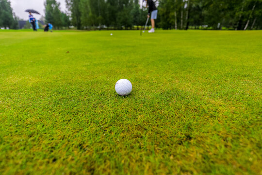 The Golf putter and golf ball. 